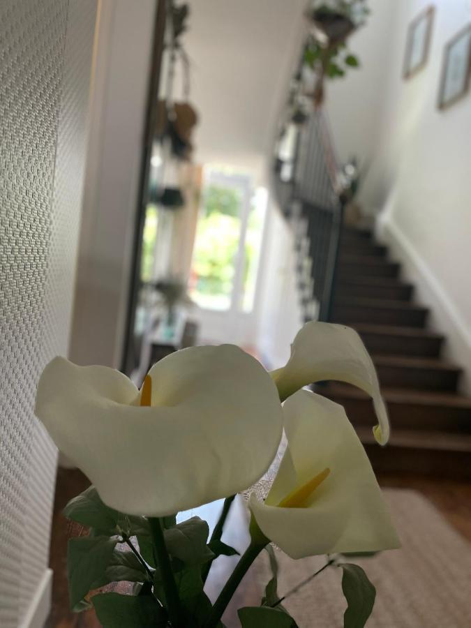 Villa Des Roses Pontmain 外观 照片
